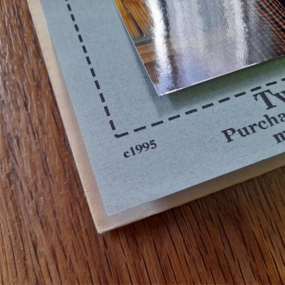 Vintage 90s Two Hour Dress Sewing Pattern Apple Crow Applique T-Shirt Repurpose - Picture 4 of 10